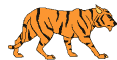 Old Tiger's Avatar